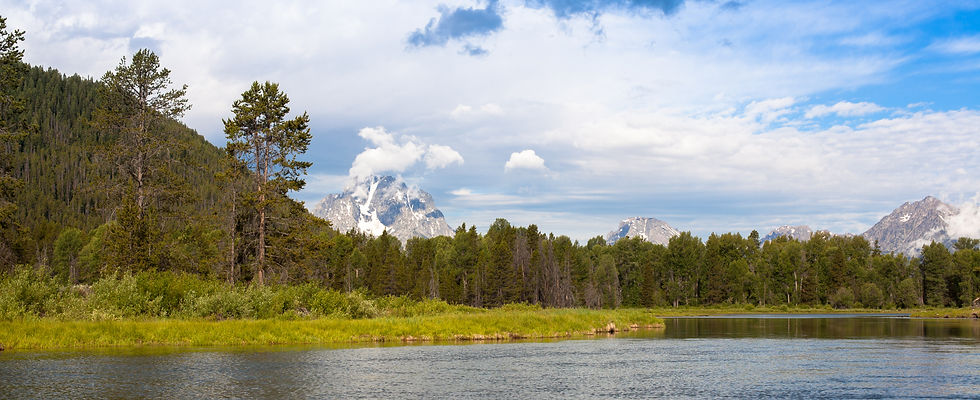 Near the Oxbow, Grand Teton National Park