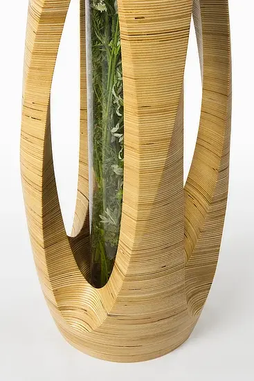 Thumbnail: Tulip vase shroud
