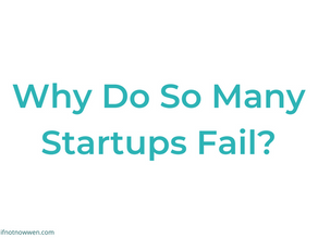 Why Do So Many Startups Fail?