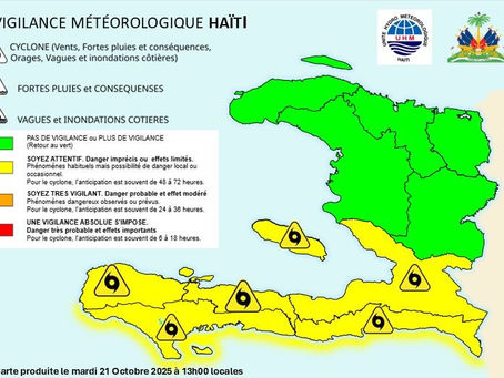 𝐌𝐄𝐋𝐈𝐒𝐒𝐀: 𝐁𝐈𝐋𝐓𝐄𝐍 𝐀𝐋𝐄̀𝐓 𝐉Ò𝐍