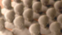 Sculptures in Rows_edited.jpg