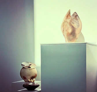 6B993078-A766-48A2-99B6-6FD610ECB1E1.jpeg