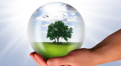 11_7_001_healthenv