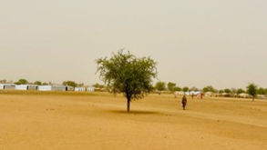 A single tree stands in the desert near a refugee encampment