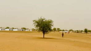 A single tree stands in the desert near a refugee encampment