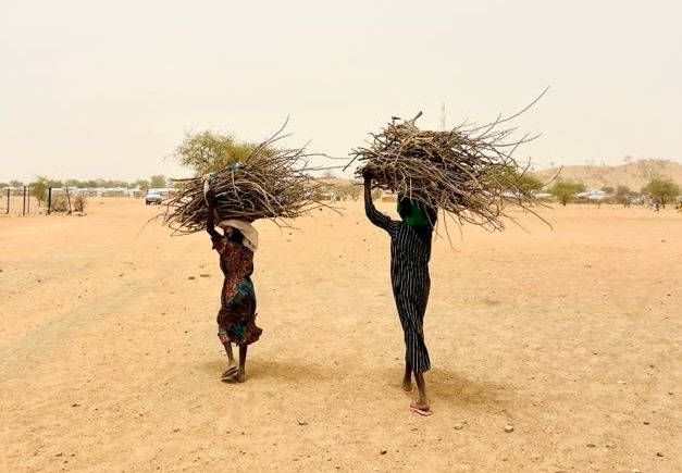 Two girls carrying piles of sticks in the desert.