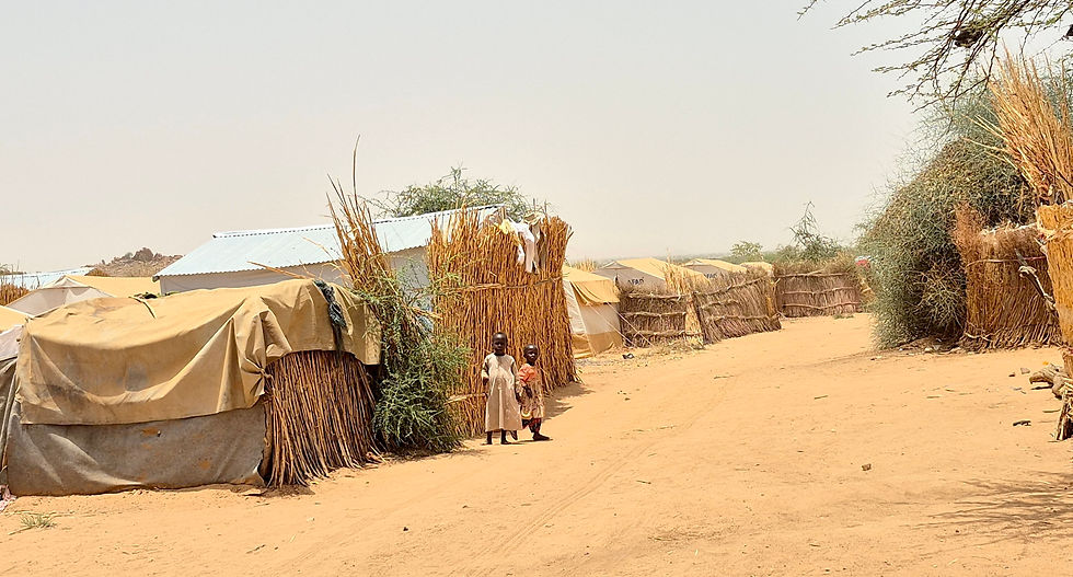 Two young children standing in front of a thatched house.