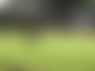 Voorjaarsbeker Dames en Heren Toxandria