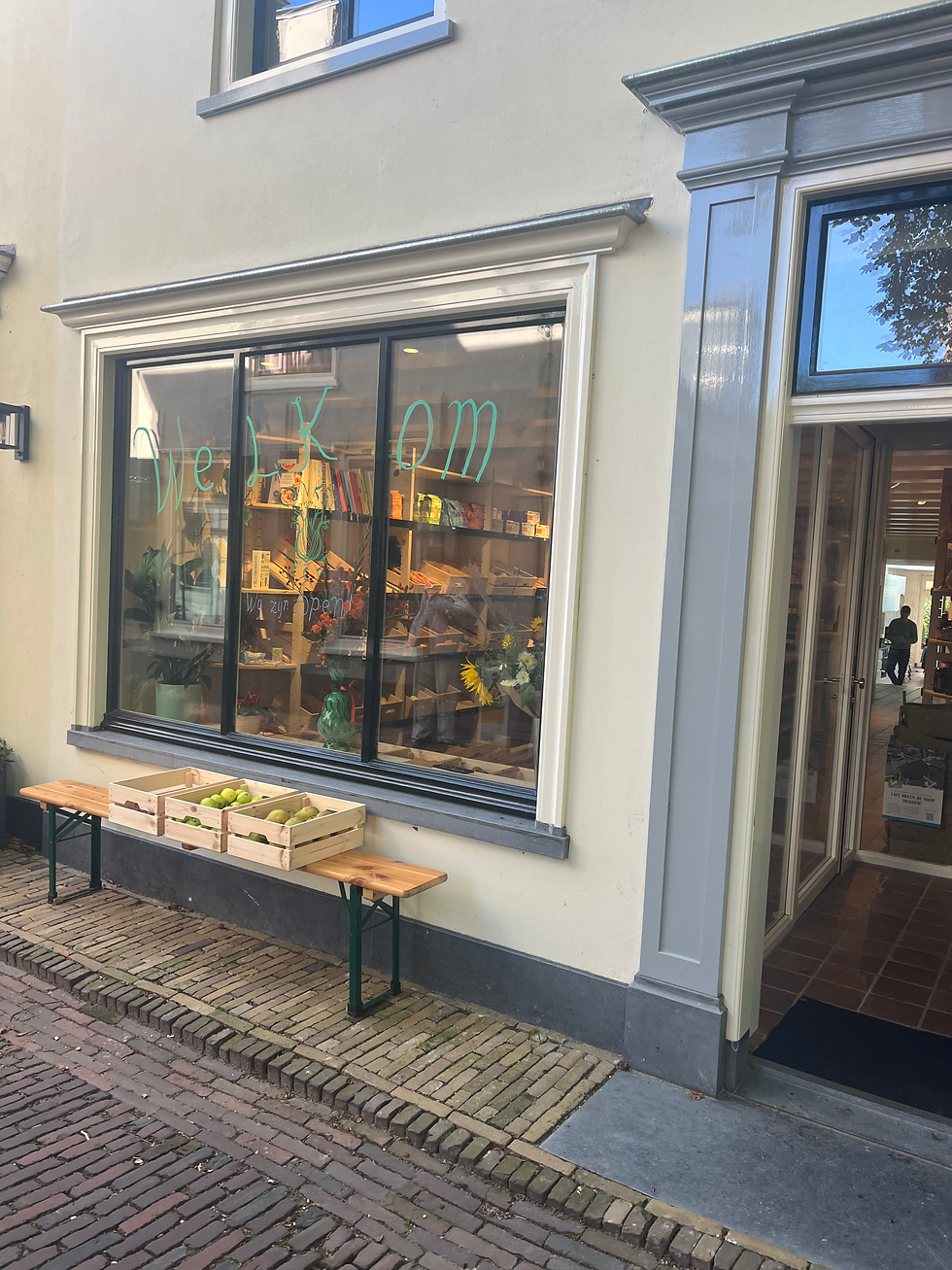 Workshop - een gezonde basis
