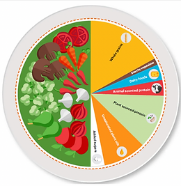 planetaryhealthdietbloom.png