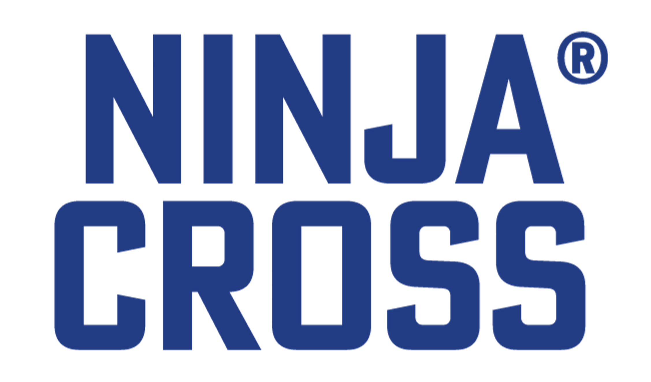NinjaCross_Profilbild Schriftzug_edited.png