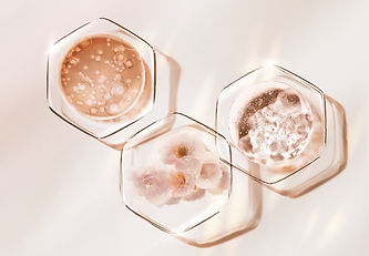 Artboard 5_4x_edited.jpg