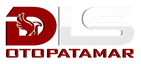 LOGO-Br.SF