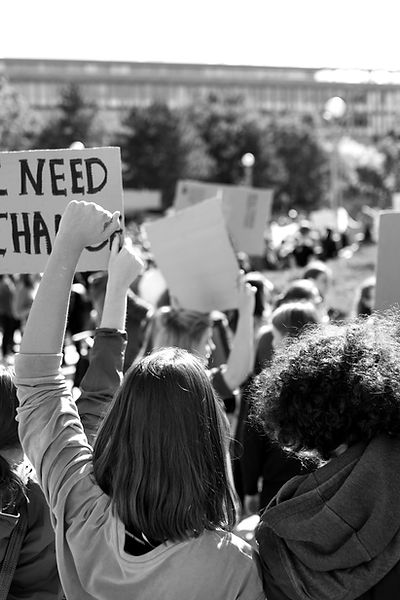 Protest Signs_edited.jpg