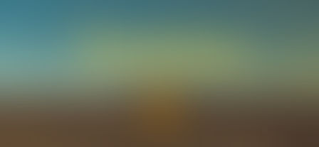 Commitment & Sacrifice