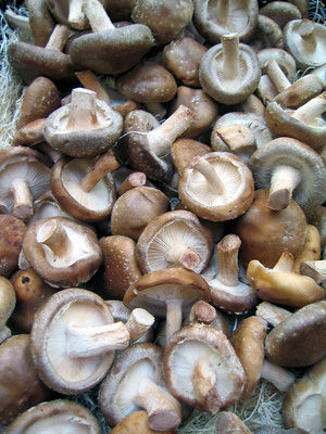 Shiitake los, per 100g