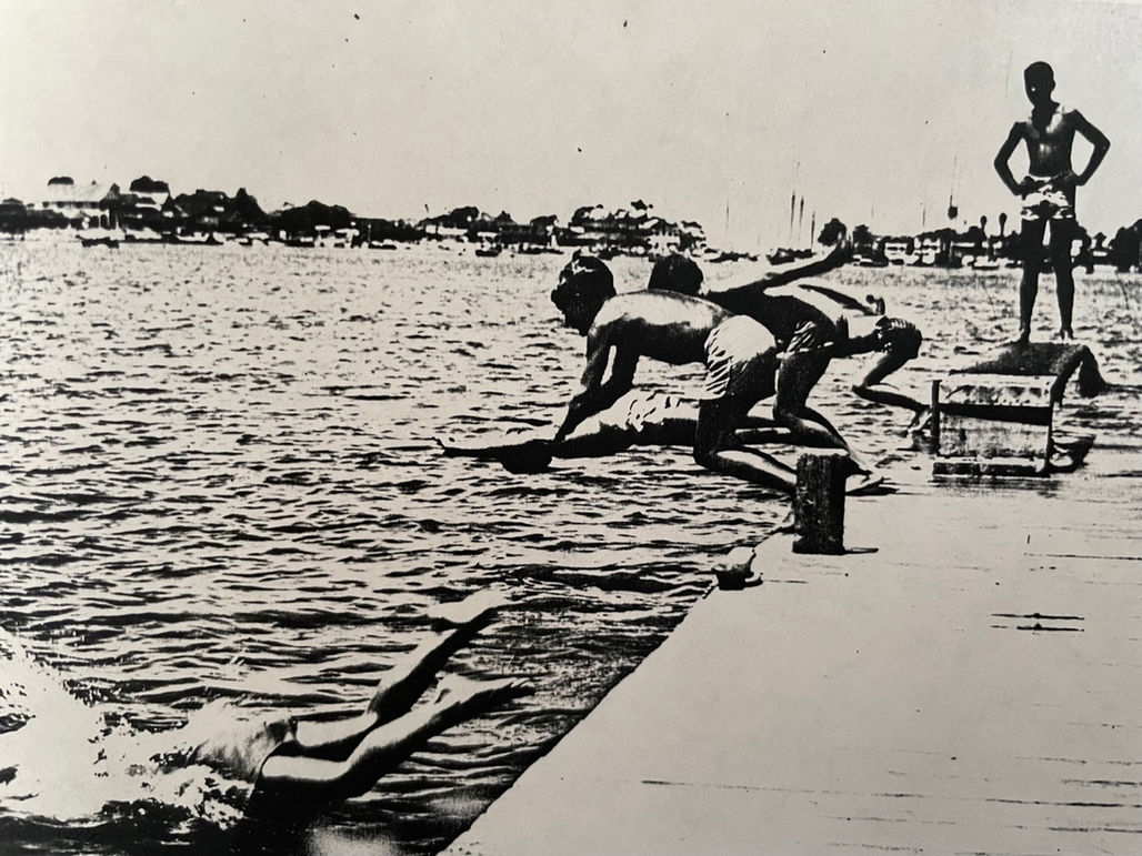 start of a swimming race.jpeg
