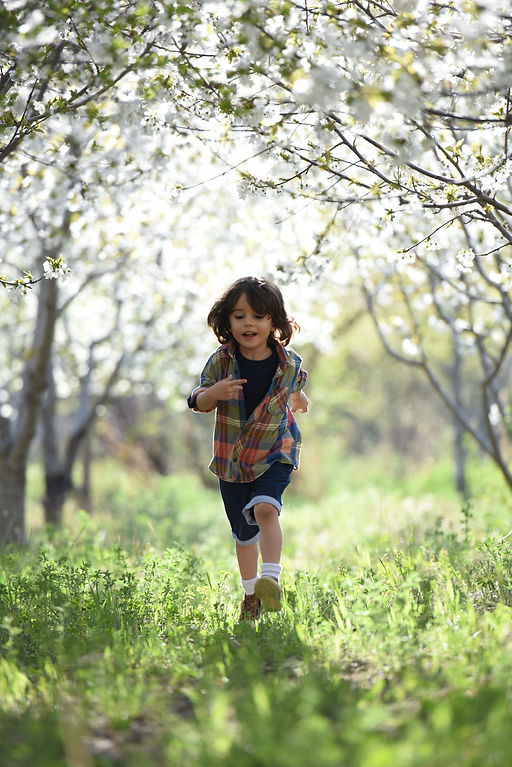 boy-running-during-sunset-1416736.jpg