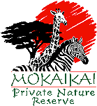 mokaikai