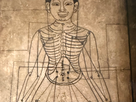 ::Abdomen, the center of the Universe