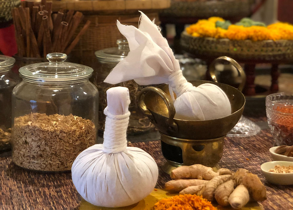 THAI MEDICINE DAY