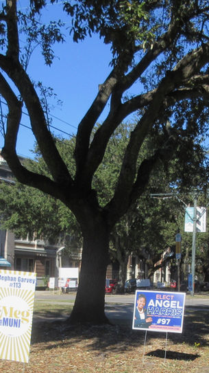 Les élections cet automne : détails du retard à cause d'Ida