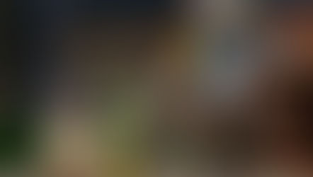 NECA Teenage Mutant Ninja Turtles The Last Ronin Gammy April with Baby Yi and Moja