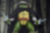 Haulathon 2025: NECA Teenage Mutant Ninja Turtles Mirage Comics Old Man Raphael
