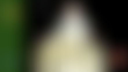 Review: Diamond Select Lord of the Rings Series 6 Saruman the White