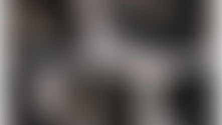 Review : Han Solo & Tauntaun, Star Wars Black Series