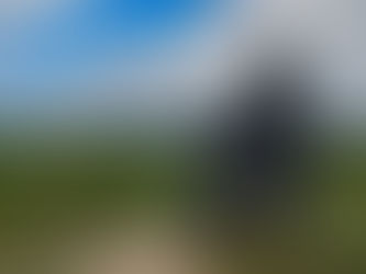 Sean Henry: Seated Figure