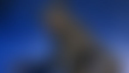 NECA Ultimate Werewolf from The Howling (1981)