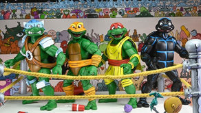 NECA Teenage Mutant Ninja Turtles Adventure Comic Series Stump Wrestling Turtles 4-Pack
