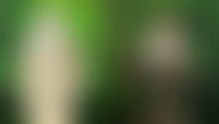 Diamond Select 2023 Showcase unveils Lord of the Rings Saruman & Samwise, Darkwing Duck, & more