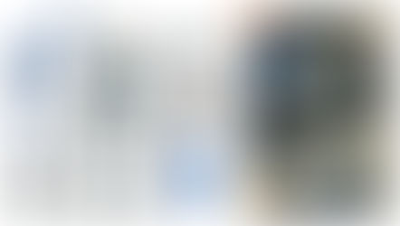 NECA Teenage Mutant Ninja Turtles Fugitoid, Mirage Comics