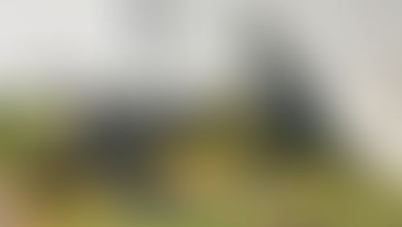 Hiya Toys Exquisite Basic Kong from Kong: Skull Island