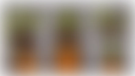 Review : Hera Syndulla, Star Wars Black Series (Hasbro) Wave 12