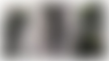 Review : Grid Alien (Alien vs Predator), NECA Aliens Series 7