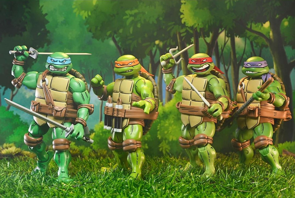 NECA Teenage Mutant Ninja Turtles x Usagi Yojimbo