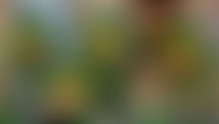 NECA Teenage Mutant Ninja Turtles Cartoon Haul-a-thon Exclusives