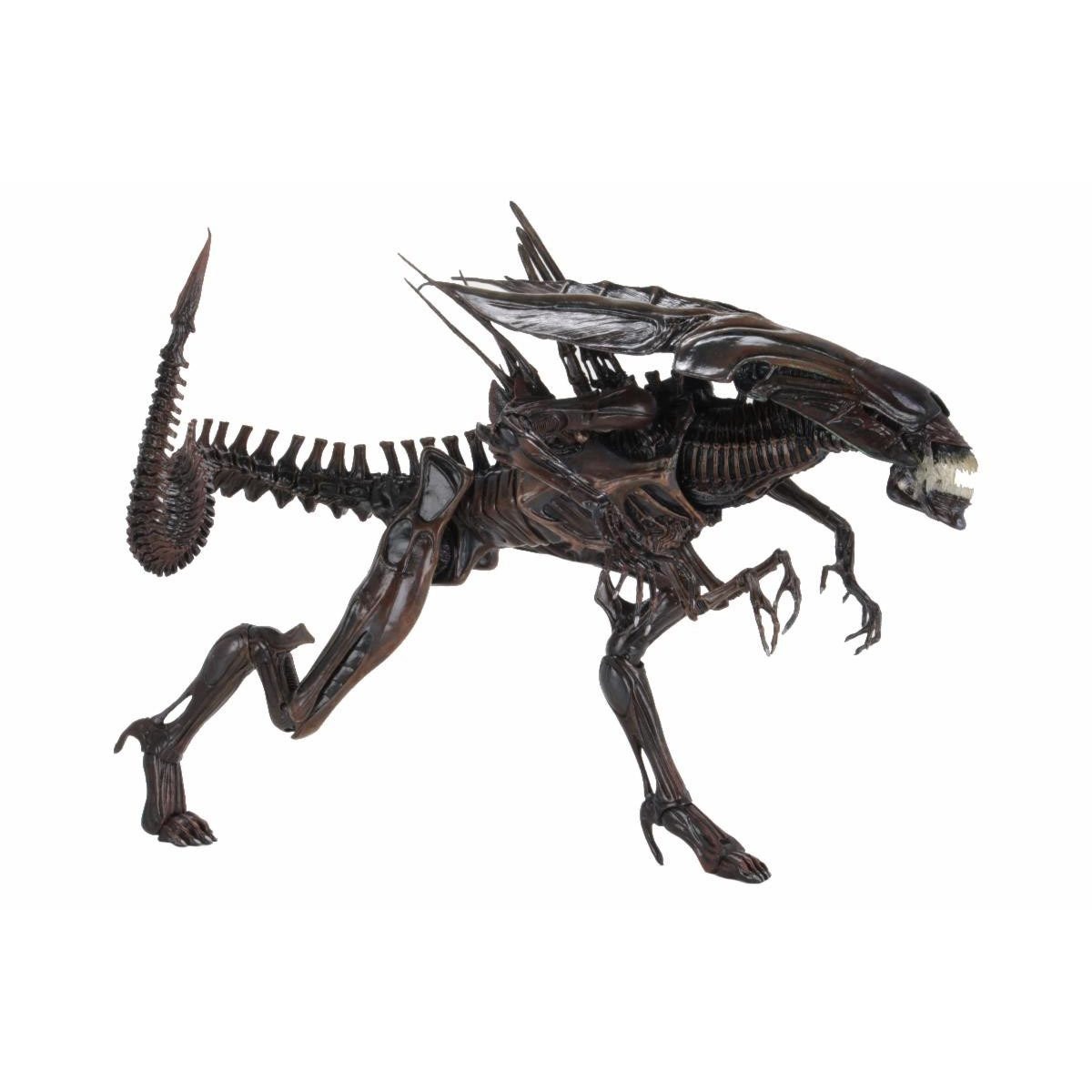 Resurrection Xenomorph Queen