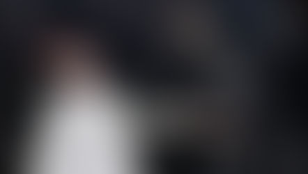 NECA Store Exclusive Universal Monsters The Bride of Frankenstein box set of 'The Monster and his Mate'