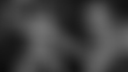 Haulathon 2025: NECA Teenage Mutant Ninja Turtles Black & White Mirage Comics releases of Casey Jones and the Elite Foot Ninja Guard