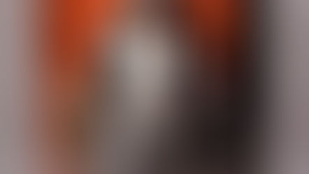 Review : Captain Phasma, The Force Awakens (2015) Star Wars Black Series