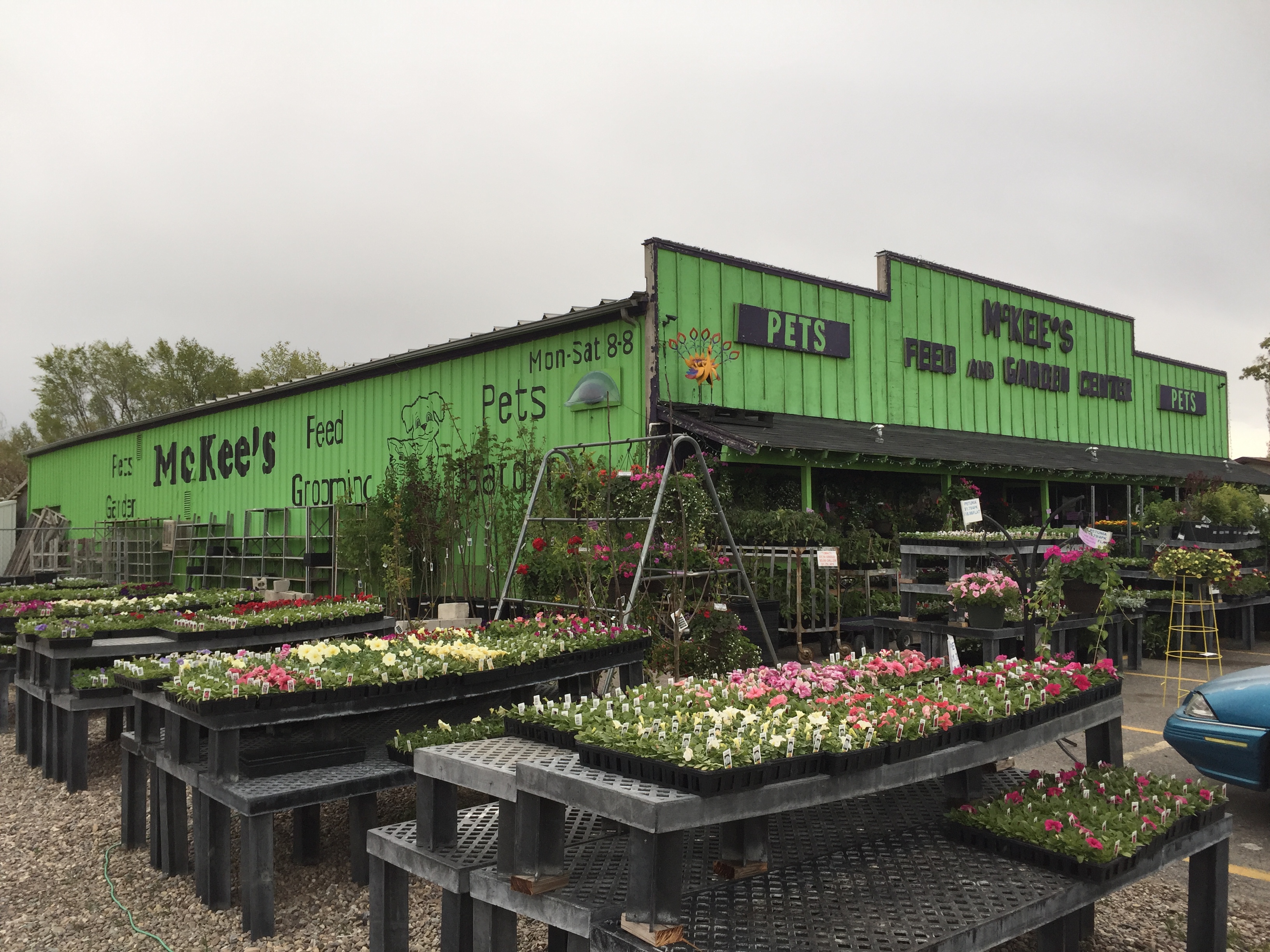 Mc Kee's Pet Grooming