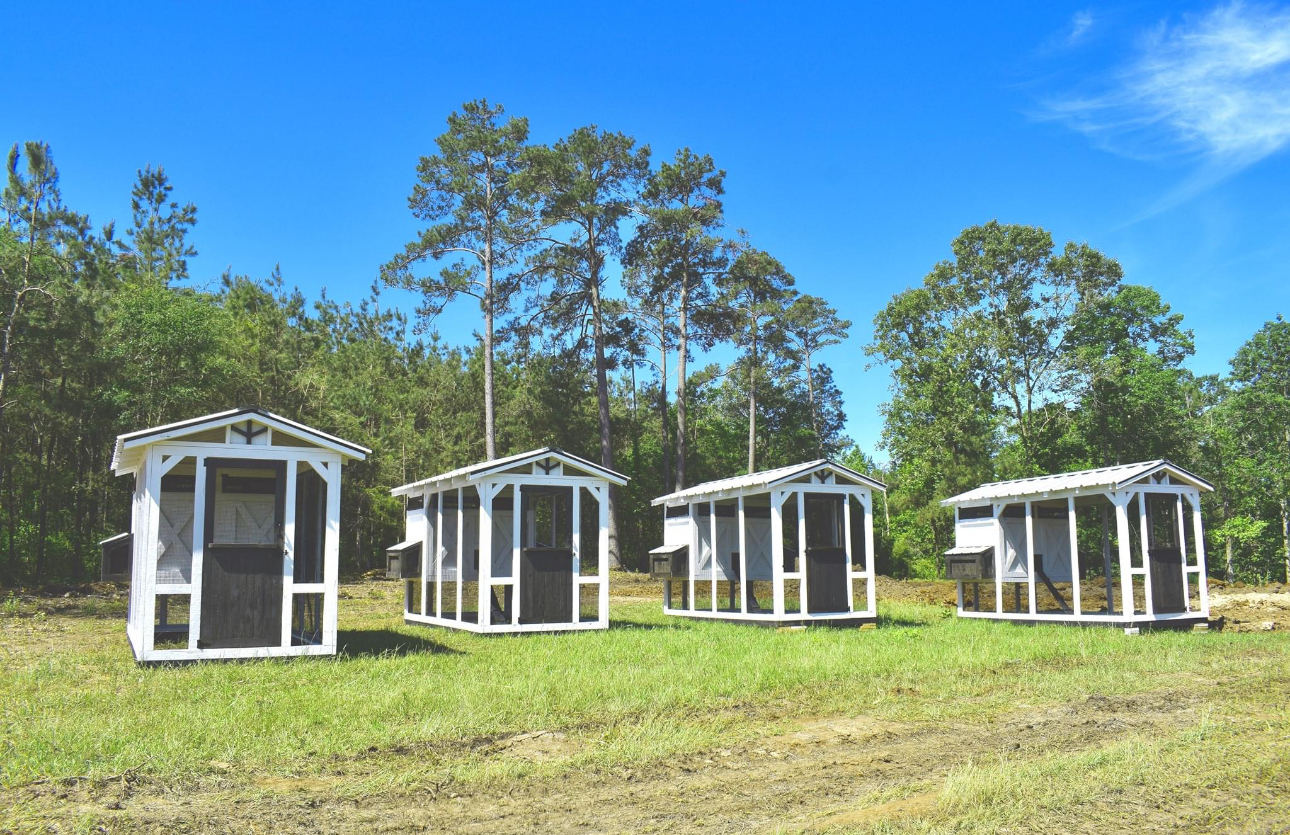 Writer: h7 homestead