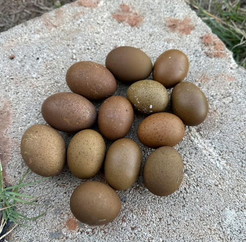 希少品】ARABIA ヘルヤ Heljä annual egg 2016 希少品】ARABIA ヘルヤ