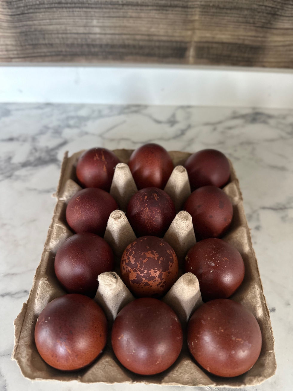 Thumbnail: Black Copper Maran Hatching Eggs Dozen
