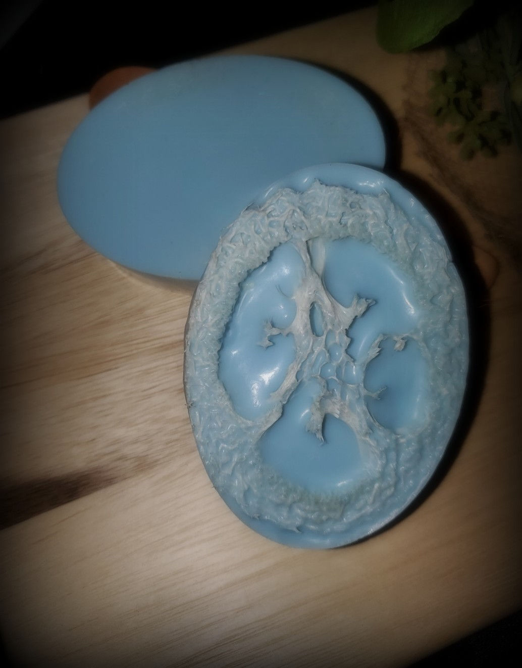 Exfoliating Peppermint Loofah Soap
