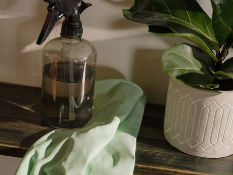 Fragrance-free Cleaning Products you Should be Using